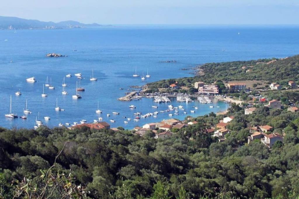 T2 D'Exception 100M Plage Terrasse Vue Mer Et Montagnes Propriano  Buitenkant foto